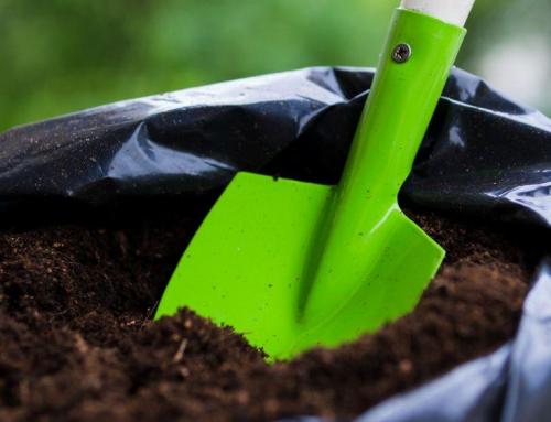 Garten richtig düngen – aber wie?